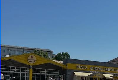 Teren de 2000 mp, în Traian - 3