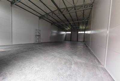 Spatiu depozitare/productie 500 mp, zona Sud - 19