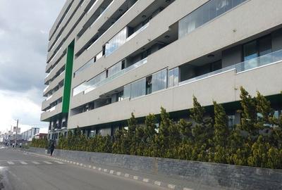 Apartament cu 2 camere decomandat în Călinești - 8