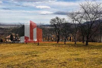 Teren 937 mp Bran/ Sohodol - 2