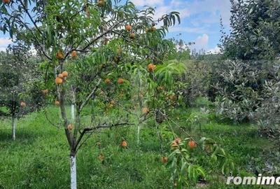 Casa individuala, 268 mp utili, 2145 teren, livada, Turda - 8