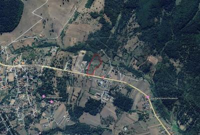 Teren agricol intravilan de 24207 mp, în Voșlăbeni - 4