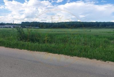 Teren Cerbu - Albota - cu PROIECT CASA si AVIZE - 2