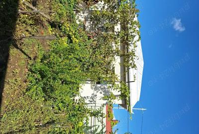 Casă cu 1 camere cu Teren 530 Mp în Chercea - 1