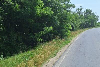 Teren în Central - 2