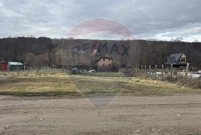 Teren Construcții intravilan de 999 mp, în Florești - 13