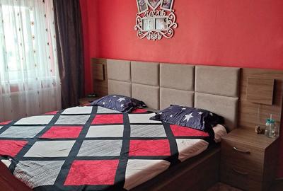 Apartament cu 3 camere semidecomandat în Micălaca - 11