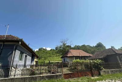 Se vinde casa in comuna Ilia, sat Cuies - 5