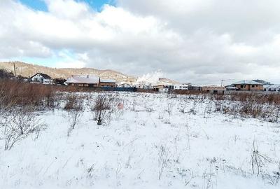 Teren de 2000 mp, în Zărnești