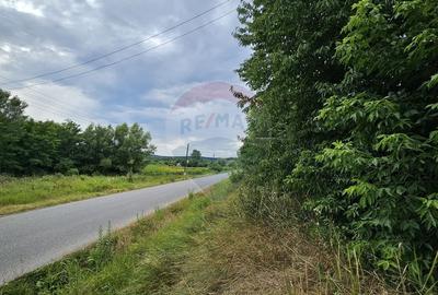 Casa  de vanzare cu teren 9200 mp, Padureni-Sendriceni, Botosani - 19
