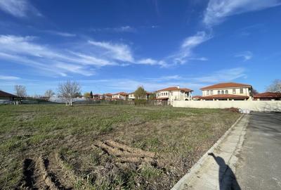 Domnesti, Curtea Domneasca teren 2572mp, deschidere 44ml, utilitati . - 2