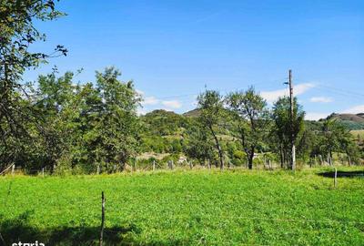 Casă cu 3 camere în Vălișoara - 8