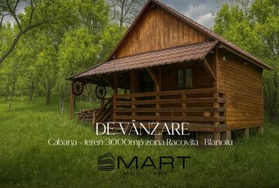 Teren intravilan 3102mp zona Racovita-Blanoiu - 1