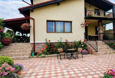 Casă individuală cu 4 camere cu Teren 2389 Mp în Sânpetru - 6