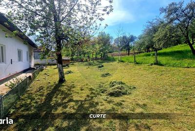 Casă cu 3 camere decomandat cu Teren 3000 Mp în Copalnic - 14