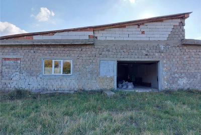 Spațiu comercial, de 500 mp, în Acâș - 1