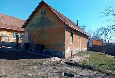 Vand Casa urgent - 2