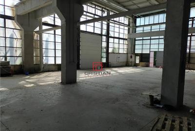 Hala/depozit/spatiu industrial Basarabia - Faur - 12