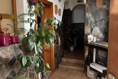 Casă cu 2 camere în Mureșeni - 6