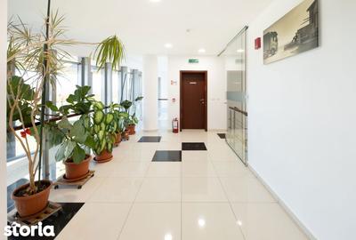 Spațiu comercial, de 287 mp, în Ghiroda - 10