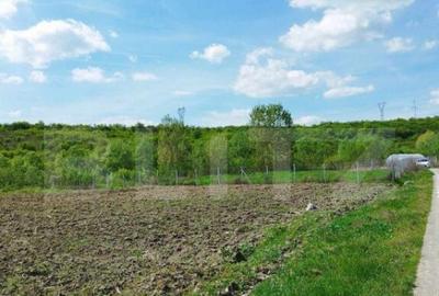 Teren 31 ari, zona linistita - 1