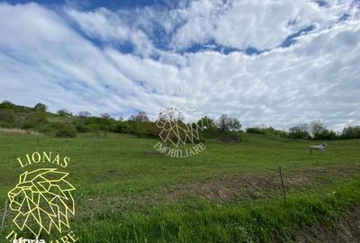 Teren de 5000 mp, în Feldru - 5