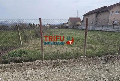 Teren de 1050 mp, în Cetate - 6
