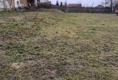 Spațiu comercial, de 3,600 mp, în Șura Mare - 7