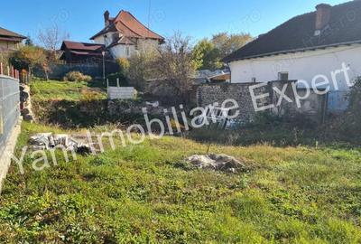 Teren de vanzare in Curtea de Arge?, zona Lidl. Teren de vanzare in Curtea de Arge?, zona Lidl. - 14