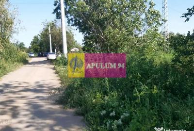 Teren de 5000 mp, în Copăceni - 3