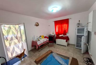 Casa si teren de vanzare Blidari - Cotesti - 10