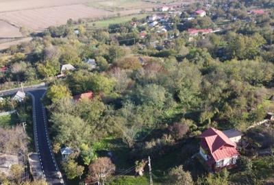 Casă cu mult teren,  sat Șerbănești, com. Corbița, jud. Vrancea - 4