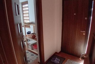 CASA DE VACANTA-2016- MOBILATA SI UTILATA - 24