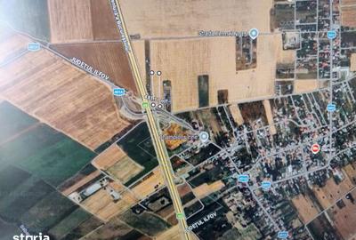 Teren de 8166 mp, în Ciorogârla - 4