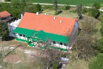 Proprietate specială, de 800 mp, în Poiana (Tăuteu) - 3