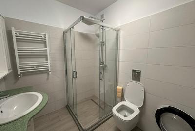 Apartament, 2 camere, 60 mp, open space, Lapus Arges , Zona Trenul Pierdut - 6