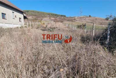 Teren 1600 mp de vanzare in comuna Ciugud cu toate utilitatile - 1