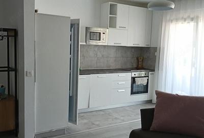 Apartament cu 2 camere semidecomandat în Nufărul - 1