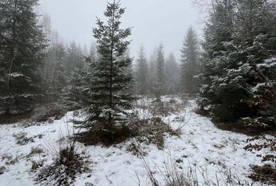 Teren de 3800 mp, în Călățele - 2