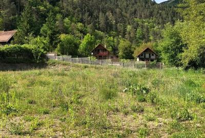 Teren de 2700 mp, în Vidolm - 6