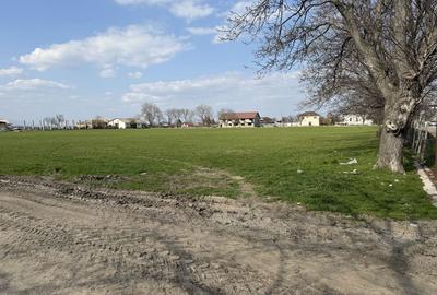 Teren de 130000 mp, în Armeni - 4