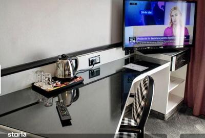 Spațiu comercial, de 761 mp, în Săpânța - 17