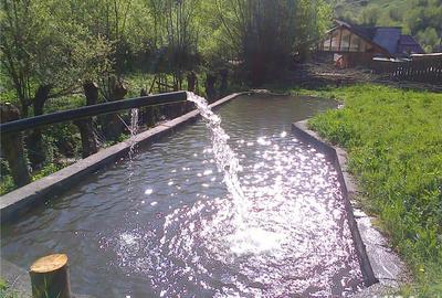 Casă cu 3 camere cu Teren 3000 Mp în Cerc - 2