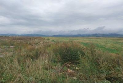 33.100mp, Tarlungeni, Brasov - 5