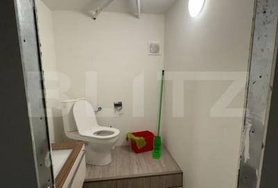 Casa D+P+M, 225 mp utili, 300 mp teren, zona Burdujeni - 14