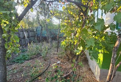 Vand casa in Teleorman, sat Albeni - 1