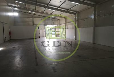 Spațiu industrial, de 425 mp, în Cârcea - 2