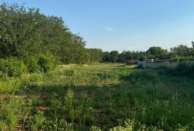 Teren intravilan, 8700m2, oportunitate investitie, Baicoi, Prahova - 3