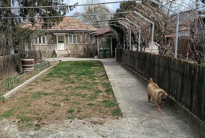 Casă cu Teren 1370 Mp în Central - 2