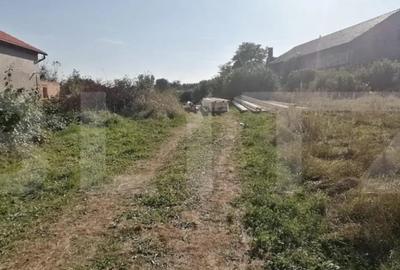 Teren de 3600 mp, în Teiu - 3